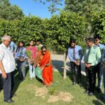 माया ग्रुप ऑफ कॉलेज ने मनाया विश्व पर्यावरण दिवस
