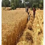 आधुनिक कृषि यंत्रों ने बदली किसान बेनी सिंह की तकदीर